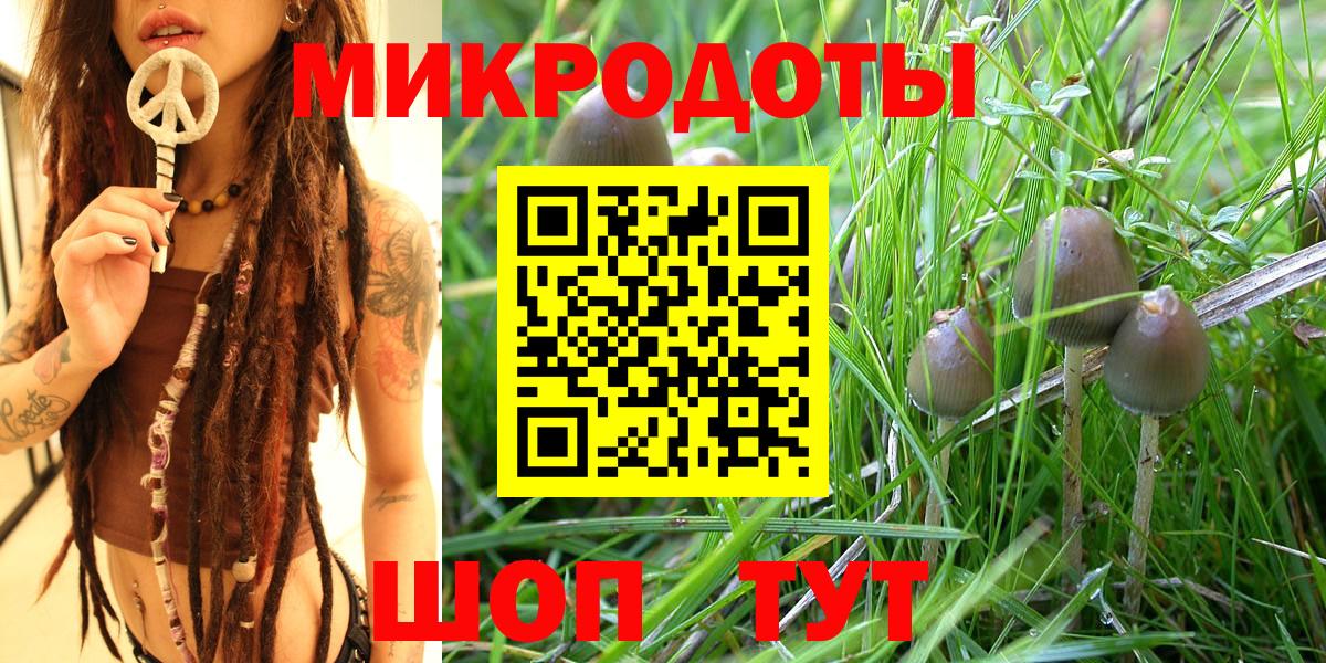 Тула  где продают   Вход с VPN  Галлюциногенные грибы GOLDEN TEACHER 